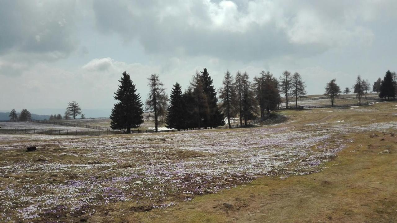Alpenrose Apartment Meltina Luaran gambar